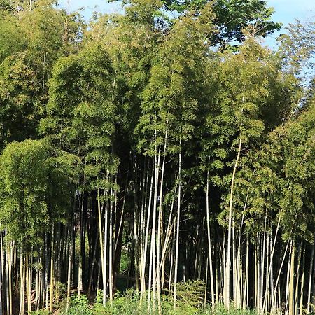 فندق ささやかな宿富津 المظهر الخارجي الصورة